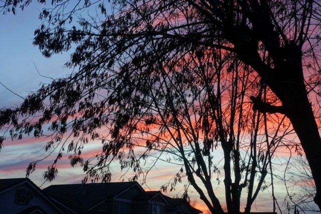 pink sunset, silhoute, roofs, california sunset