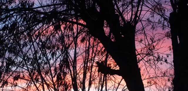 pink sunset, silhouette, colorful sky