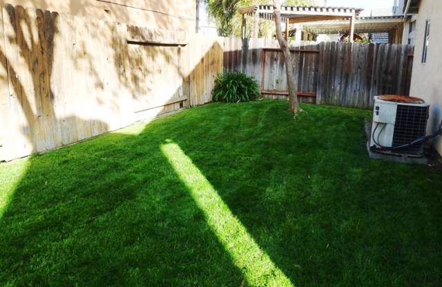 mowing, backyard, yard work, green grass