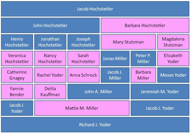 Geneaology, ancestry, hochstetler, multiple descent