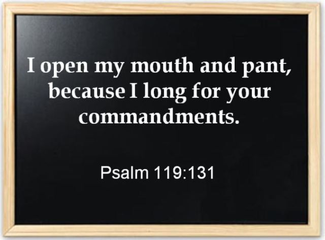 Psalm 119, Are you smarter than your teacher