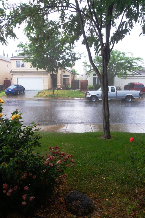 California late rain, thunderstorm, weather