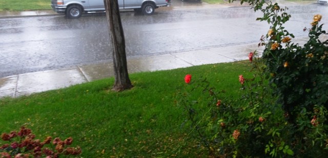 California late rain, thunderstorm, weather