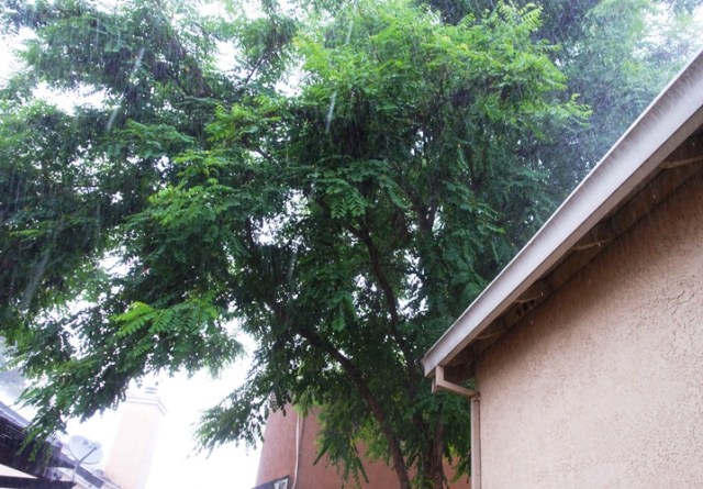 California late rain, thunderstorm, weather