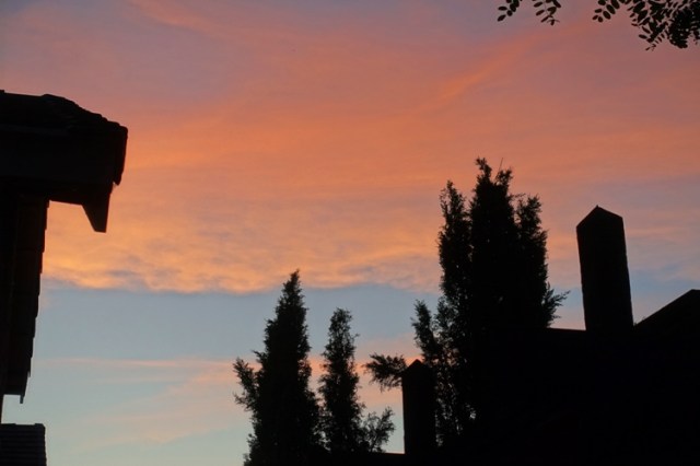 sheltering in place, dusk, sunset, contrails, silhouettes
