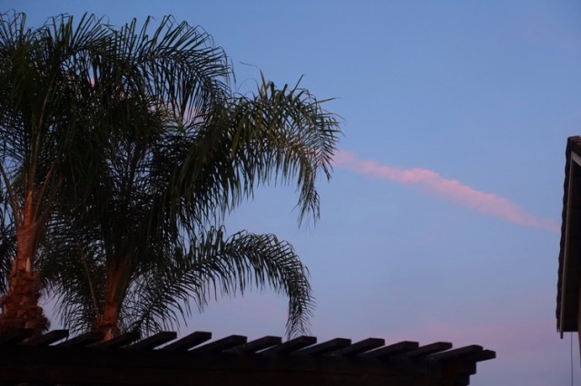 sheltering in place, dusk, sunset, contrails, silhouettes