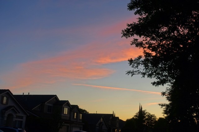 sheltering in place, dusk, sunset, contrails, silhouettes