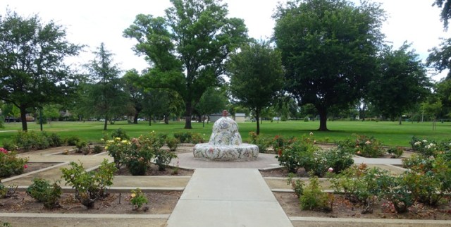 Tracy community rose garden, roses, garden, blooms