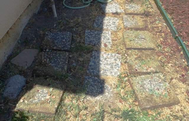 side yard, stepping stones. yard work