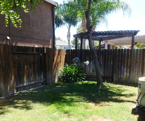 backyard, agapanthus, summer, yardwork