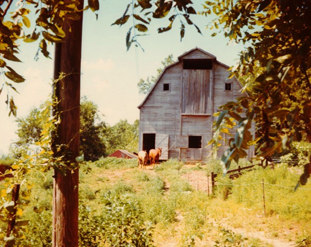 Coin Barn, Tight Row, Iowa Barn