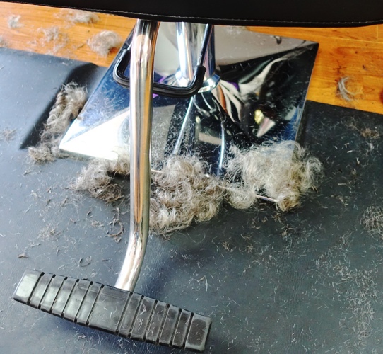 covid hair, haircut, stylist, hair salon, long hair, wavy hair, curles