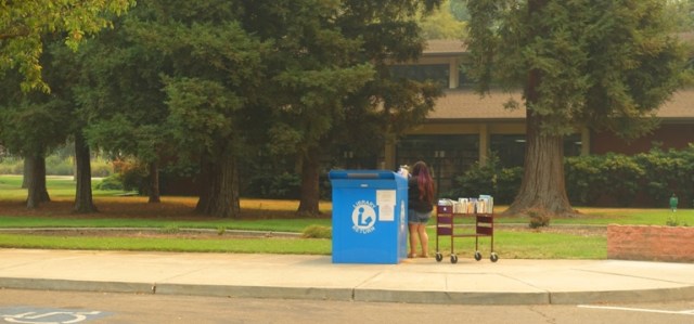 curbside service, library, book drop, social distance, books