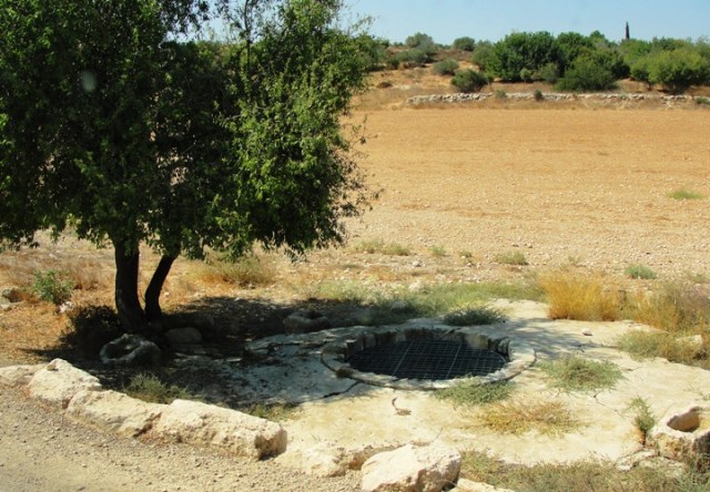 israel, shephelah, bet guvrin, water, tree
