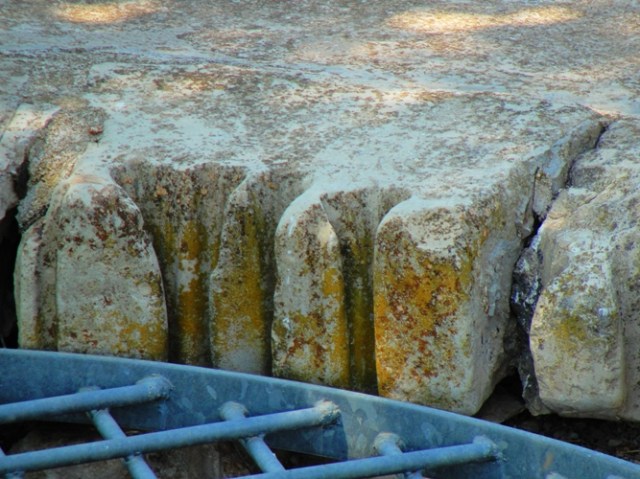 israel, shephelah, bet guvrin, water, tree