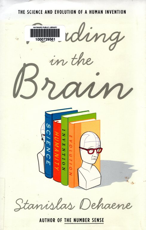reading, brain, book