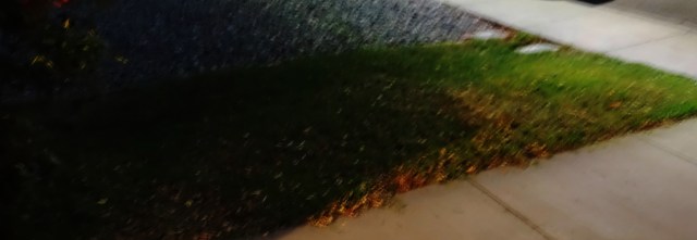 Mowing, tall grass, yardwork, Mowing after dark