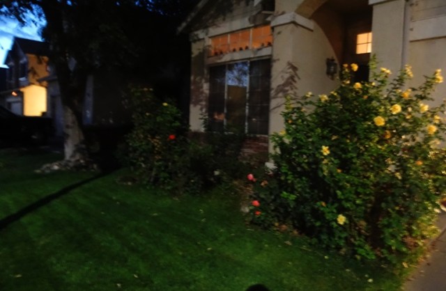 Mowing, tall grass, yardwork, Mowing after dark