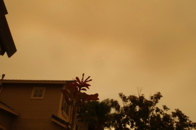 smoke filled sky, wildfires, california