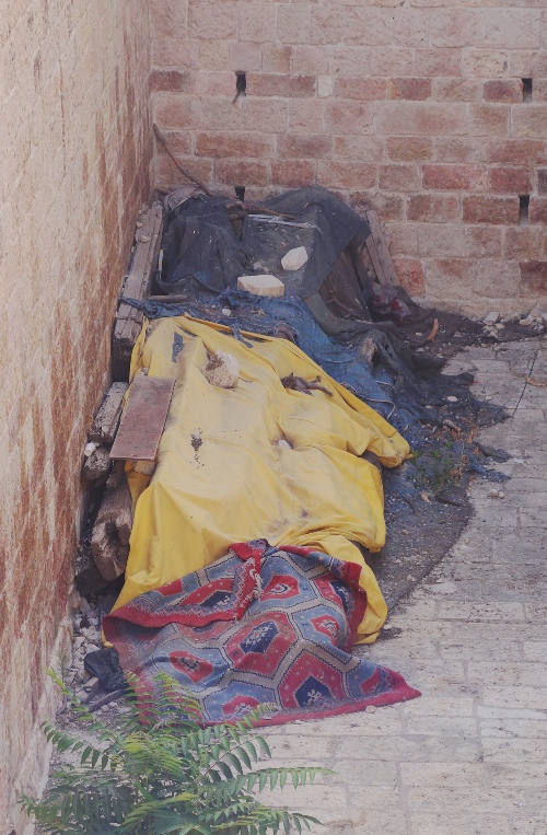 cedar timbers, golden gate, eastern gate, temple mount