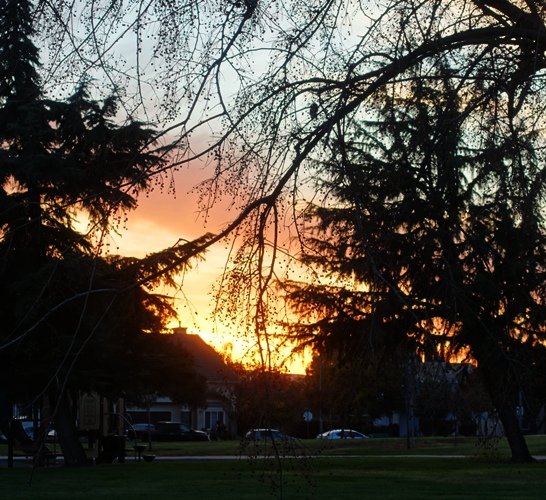 saturday sunset, park, view
