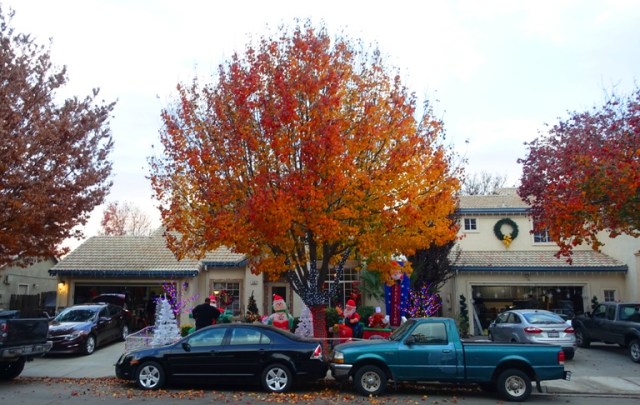 best neighborhood christmas decorations, autumn