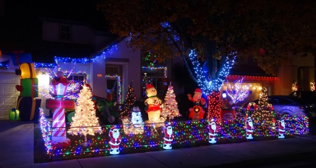 christmas decorations, christmas, decorations, best of show