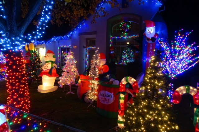 christmas decorations, christmas, decorations, best of show