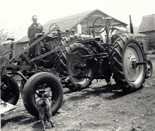 dog, farm equipment, tires, tractor, farm