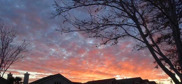 late year sunset, red sky, grey sky
