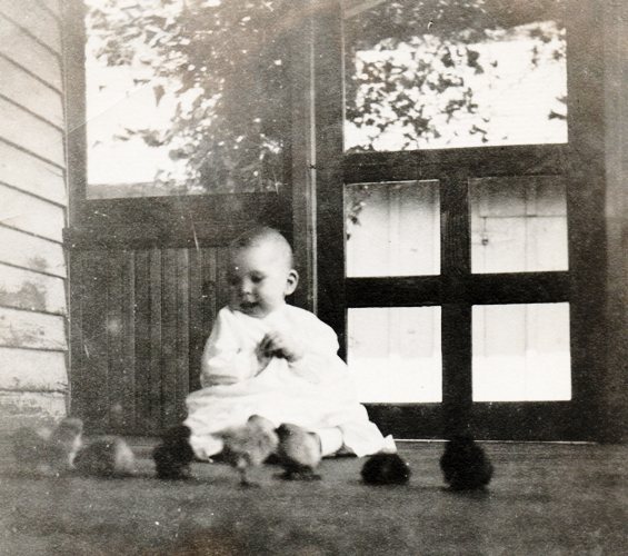 baby, chicks, chicken, old-time photography, porch