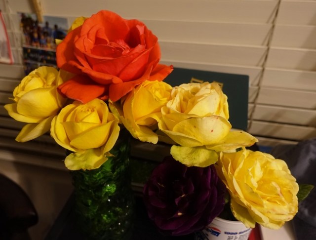 roses, arrangement, pruning roses, leftover roses