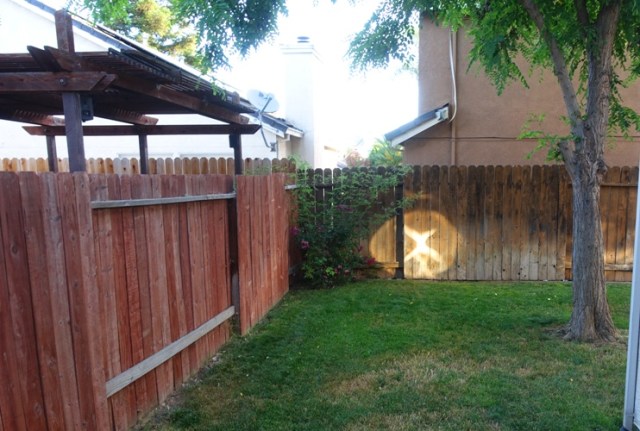 back yard, tree trimming, saws, ladders yard work