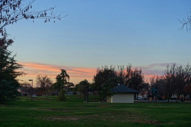 new year walk, park, walking, new year resolution