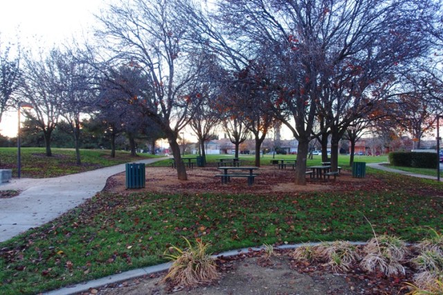 new year walk, park, walking, new year resolution