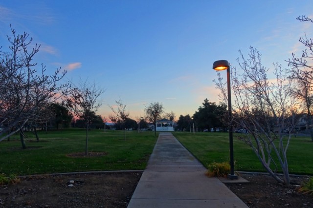 new year walk, park, walking, new year resolution