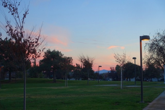 new year walk, park, walking, new year resolution