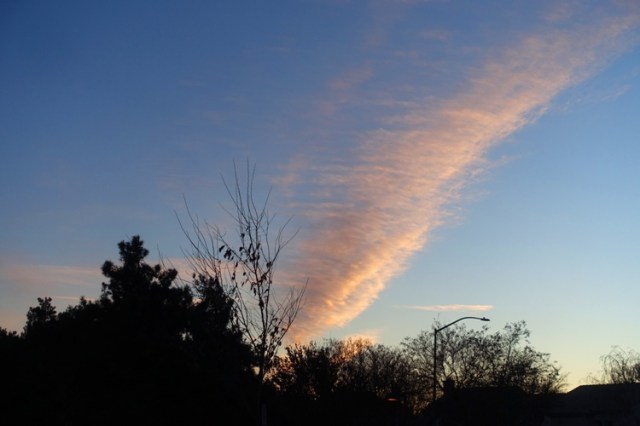 new year walk, park, walking, new year resolution