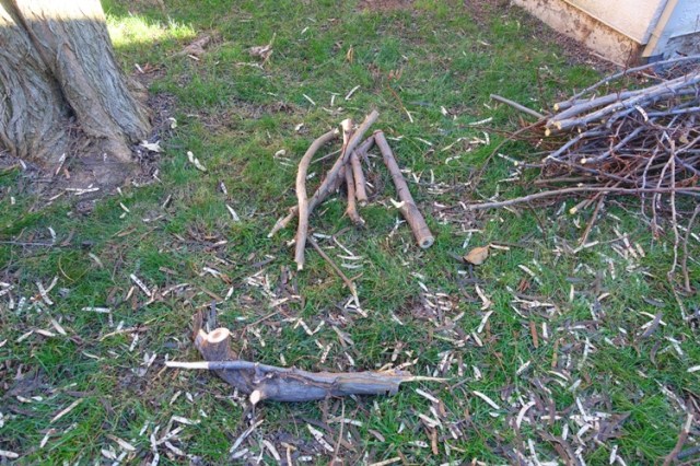 Yard work, limb, tree trimming, limbs, trees