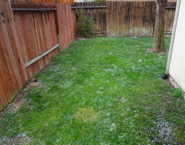 california thunderstorm, hail, rain, storm, tiny hail