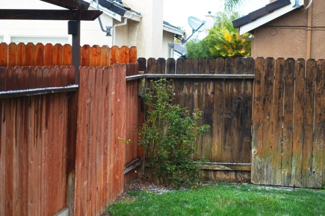 california thunderstorm, hail, rain, storm, tiny hail