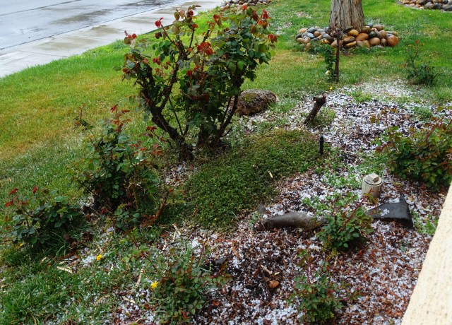 california thunderstorm, hail, rain, storm, tiny hail