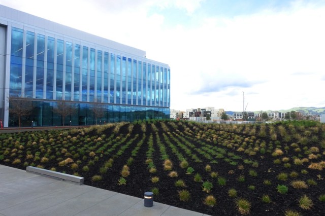 Zeiss Innovation Center, dublin, california, construction, new building, zeiss