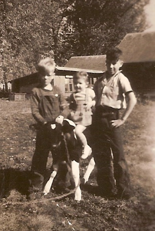 Cow, farm, mom, little girl, Iowa