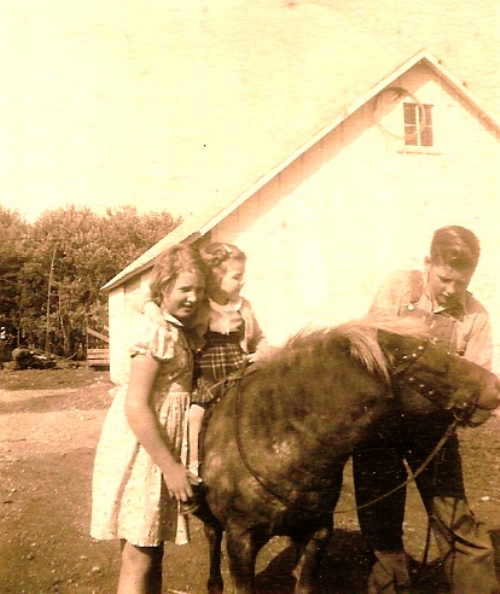 riding horse, little girl, farm, iowa