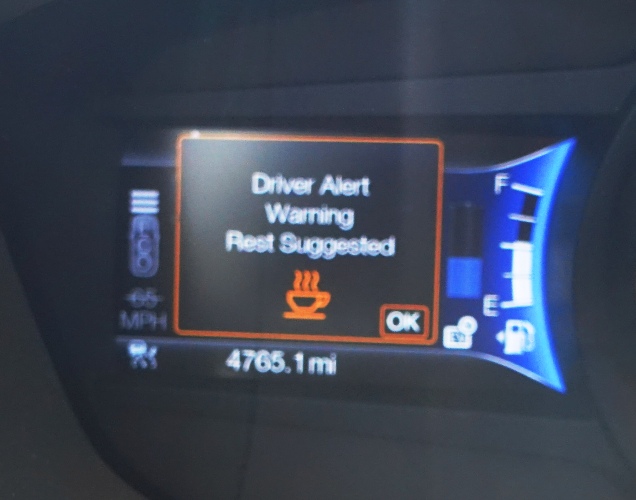 Ford fusion, bluey, rest warning