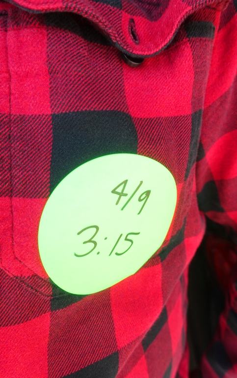 library, book, blossoms, bees