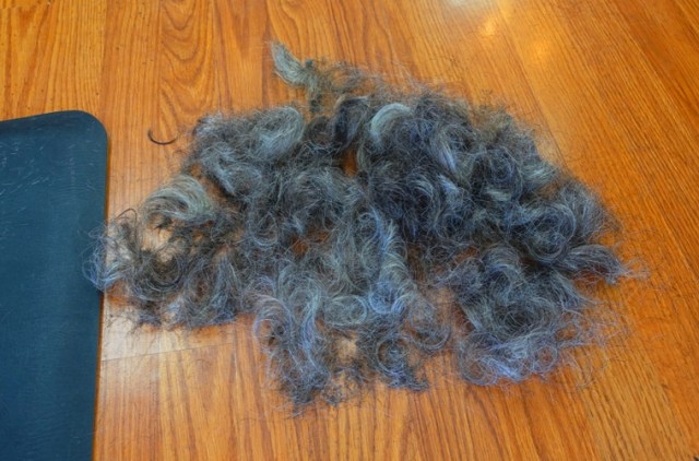 hair cut, hair salon, covid cut, haircut, curls, mask