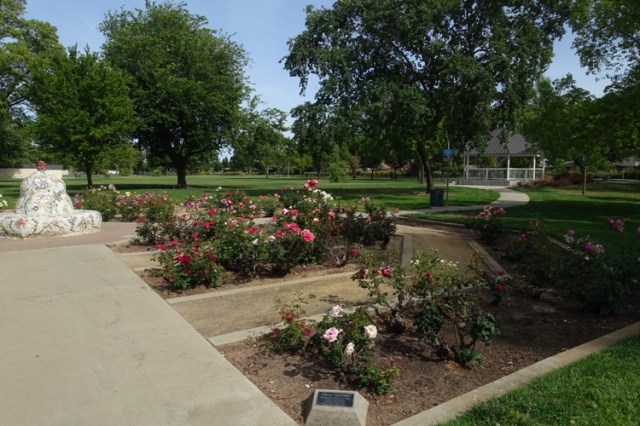 tracy rose garden, garden, library routine