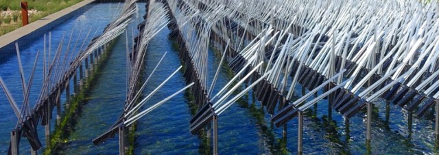 Ned Kahn, art, sensor, wind, environment